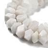 Natural Rainbow Moonstone Beads Strands G-D091-A07-4