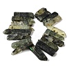 Natural Prehnite Beads Strands G-S386-D06-3