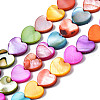 Natural Freshwater Shell Beads Strands X-SHEL-S278-024A-1