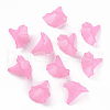 Transparent Acrylic Beads BSF796-C10-4