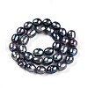 Natural Cultured Freshwater Pearl Beads Strands PEAR-N012-09F-01-3