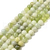 Natural New Jade Beads Strands G-K340-A01-01-2