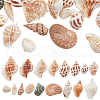 SUPERFINDINGS 37Pcs Conch & Shell Ornaments AJEW-FH0003-26-1