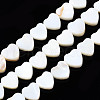 Natural Freshwater Shell Beads Strands SHEL-N026-152-1