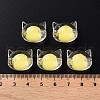 Transparent Acrylic Beads X1-MACR-S373-115-B05-5