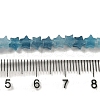 Dyed Natural Aquamarine Beads Strands G-G085-B29-01-4