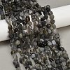Natural Labradorite Beads Strands G-Q060-E20-02-1