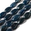 Natural Apatite Beads Strands G-Q026-A01-02-1