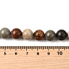 Natural Picture Jasper Beads Strands G-S390-07-10mm-5