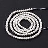 Natural Howlite Beads Strands G-H273-02A-4
