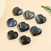 Natural Labradorite Figurines for Home Desktop Decoration PW-WG12971-01-1