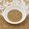 MIYUKI Delica Beads X-SEED-J020-DB2521-2