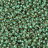 MIYUKI Round Rocailles Beads X-SEED-G007-RR0374-3