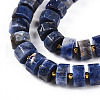Natural Sodalite Beads Strands G-T140-26-3