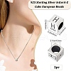 Sterling Silver Beads STER-WH20009-04H-P-2