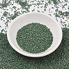MIYUKI Delica Beads SEED-J020-DB2312-2