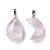 Natural Amethyst Pendants G-P461-03-2