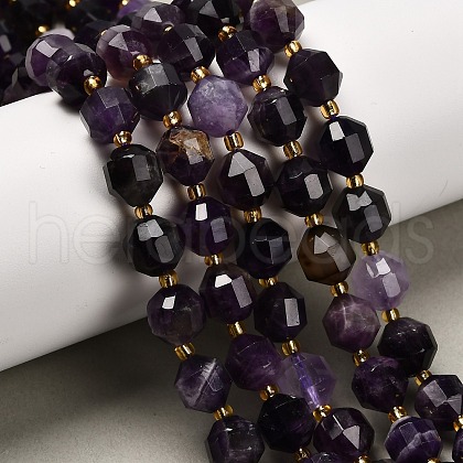 Natural Amethyst Beads Strands G-P568-B01-01-1