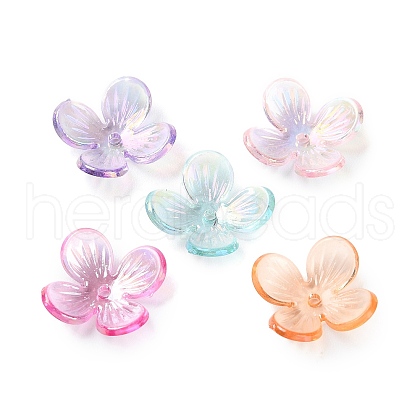 Transparent Acrylic Beads Caps SACR-A006-11-1