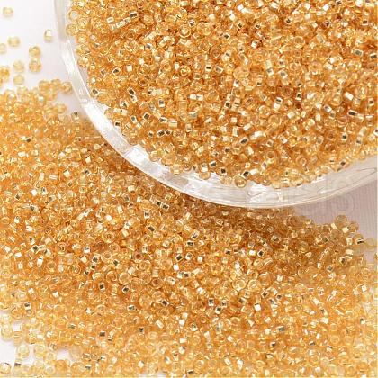8/0 Round Glass Seed Beads SEED-J018-F8-62-1