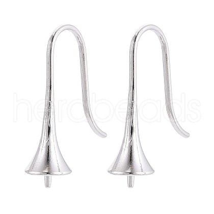 304 Stainless Steel Earring Hooks STAS-N108-30P-1