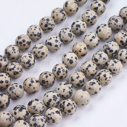 Natural Dalmatian Jasper Stone Bead Strands G-R193-14-10mm-1