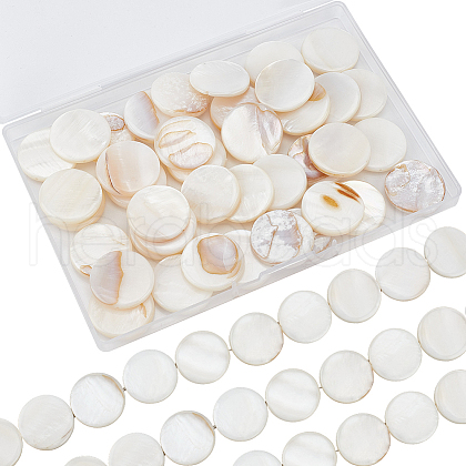 SUNNYCLUE 2 Strands Natural Freshwater Shell Beads BSHE-SC0001-20B-1