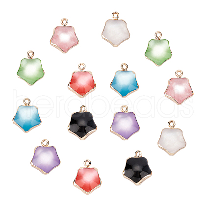 SUNNYCLUE Resin Pendants DIY-SC0012-89-1