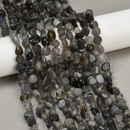 Natural Labradorite Beads Strands G-Q060-E20-02-1