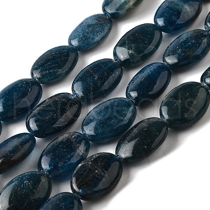 Natural Apatite Beads Strands G-Q026-A01-02-1