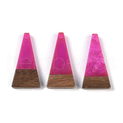 Resin & Wood Pendants WOOD-F015-03A-1