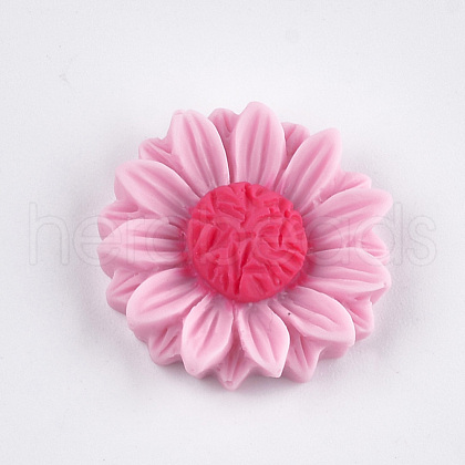 Resin Cabochons CRES-T010-59G-1