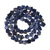 Natural Sodalite Beads Strands G-B138-C12-01-3