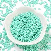Baking Paint Glass Seed Beads SEED-A033-04D-4