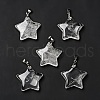 Natural Quartz Crystal Pendants G-I319-04P-06-1