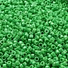 Baking Paint Glass Seed Beads SEED-S042-05A-28-3