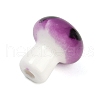 Handmade Lampwork Beads PORC-V001-01E-2