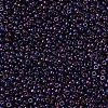 MIYUKI Round Rocailles Beads X-SEED-G007-RR0469-3