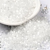 Glass Bugle Beads SEED-B001-03A-19-1