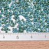 MIYUKI Delica Beads X-SEED-J020-DB2381-4