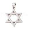 Non-Tarnish 316 Surgical Stainless Steel Pendants STAS-Z073-18P-1