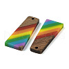 Pride Rainbow Theme Resin & Walnut Wood Pendants WOOD-K012-10B-2