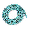 Synthetic Turquoise Beads Strands G-U004-02P-3