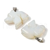 Opalite Pendants G-B127-02P-08-3
