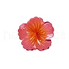 Two Tone Plastic Claw Hair Clips PW-WG9B72A-02-2