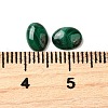 Natural Malachite Cabochons G-E557-03P-3