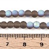 Frosted Transparent Glass Beads Strands GLAA-T032-T4mm-MBB02-4