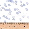 Glass Seed Beads X1-SEED-H002-D-A814-4