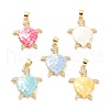 Real 18K Gold Plated Brass Micro Pave Clear Cubic Zirconia Pendants KK-D004-05G-M01-1
