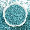 Baking Paint Silver Lined Glass Seed Beads SEED-H003-09H-3